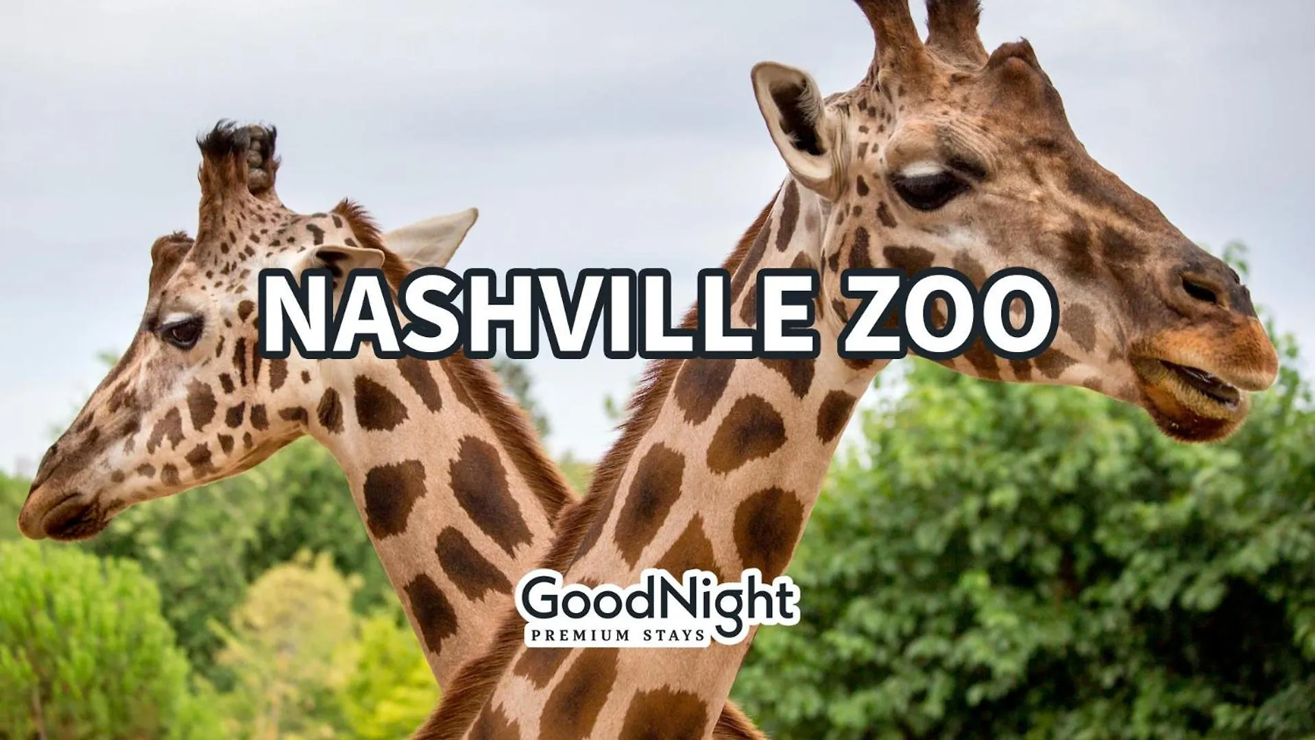Casa vacanze Villa Rockstar - Odyssey - Heart Of Midtown Nashville